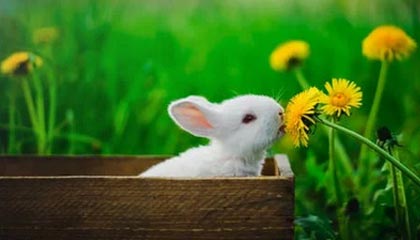 普洱高价上海医保提取2025的最新政策(2025年普洱上海医保怎么提取现金分享)